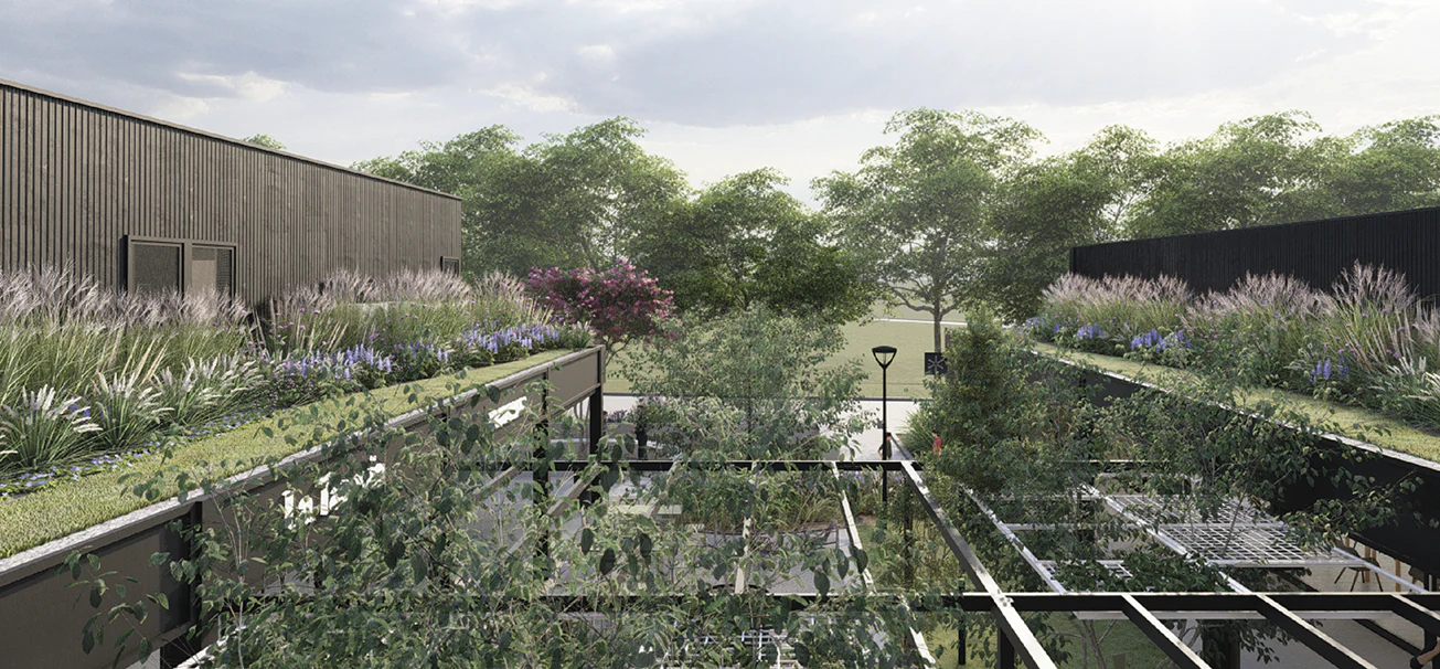 Foto de el Paseo Del Molino 02